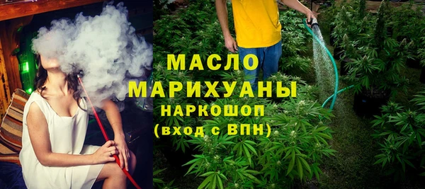индика Бронницы
