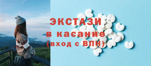 индика Бронницы