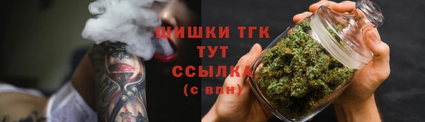 индика Бронницы
