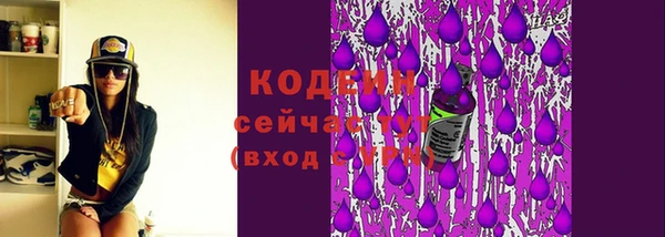индика Бронницы
